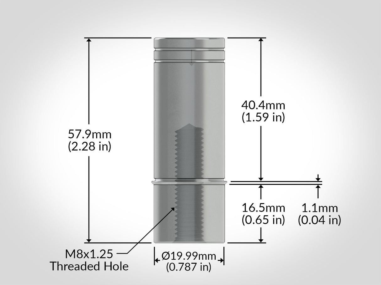 TSO Products Chamfer Bench Dog - Close Fit, Stubby (Set of 2)