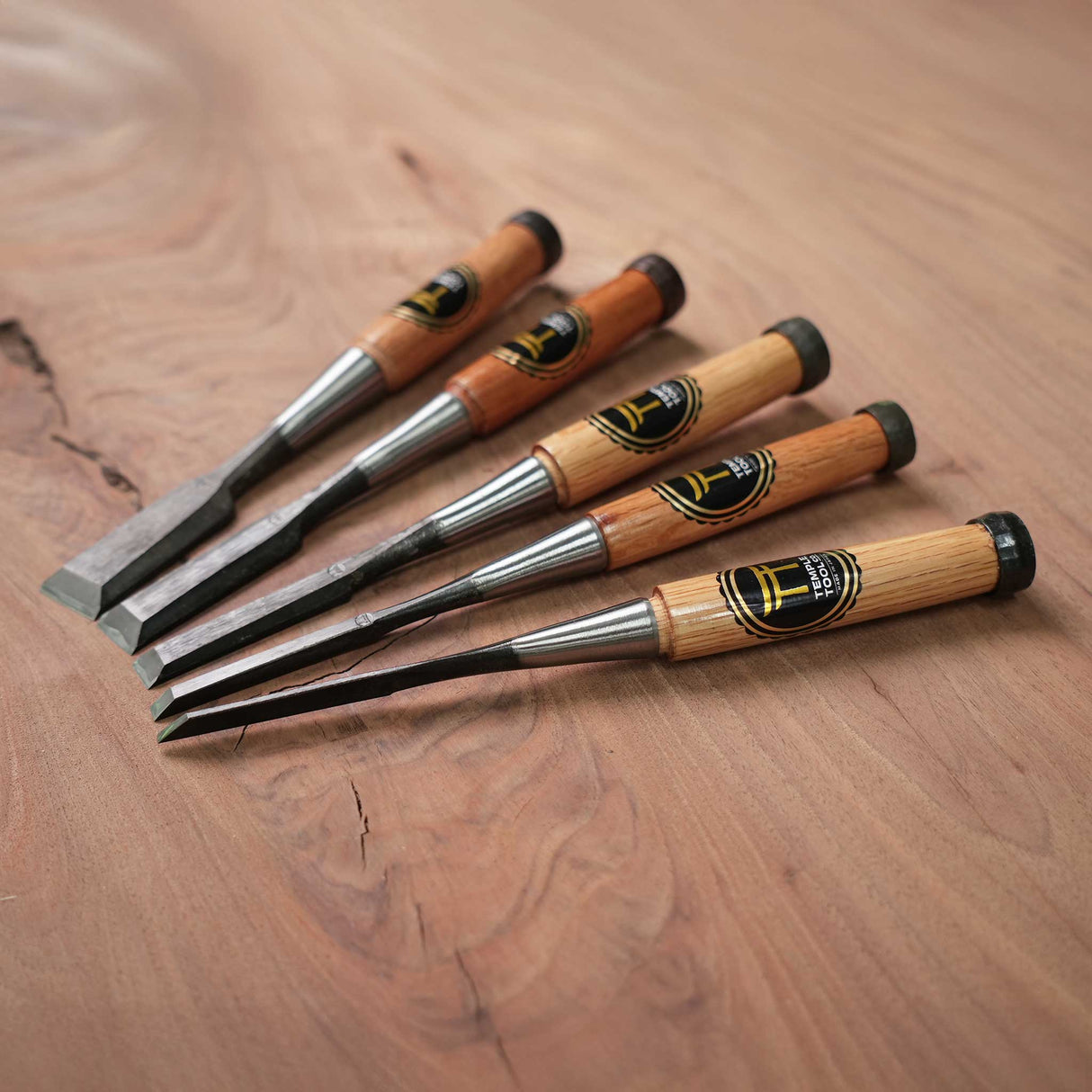 Temple Tool Co Japanese Bench Chisels Box Set (1", ¾", ½", ¼", ⅛")
