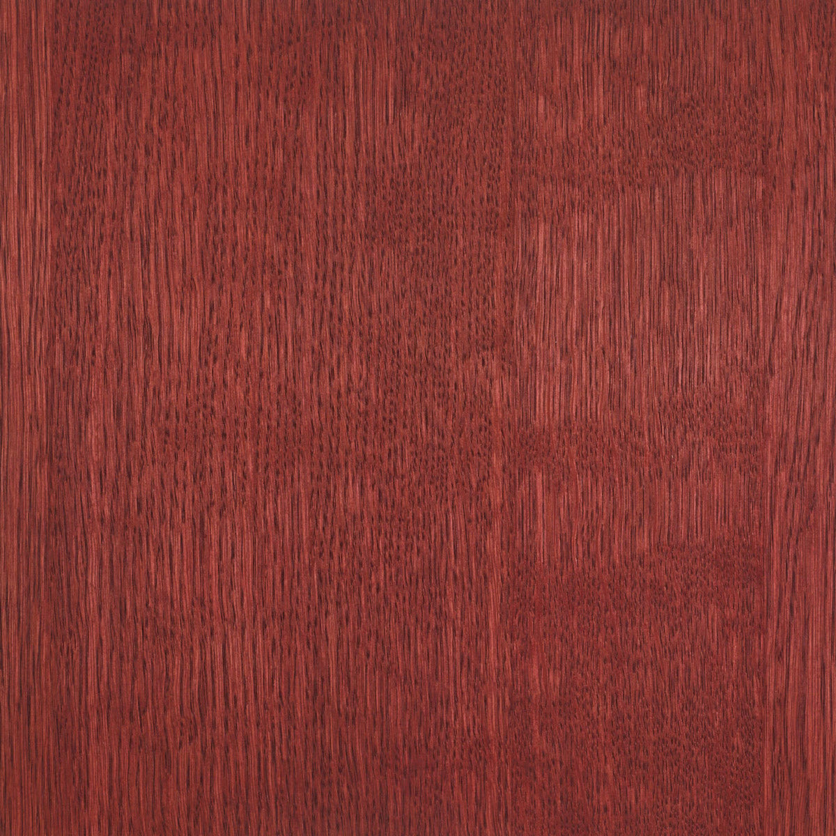 Rubio Monocoat Oil Plus 2C | 390ml Set