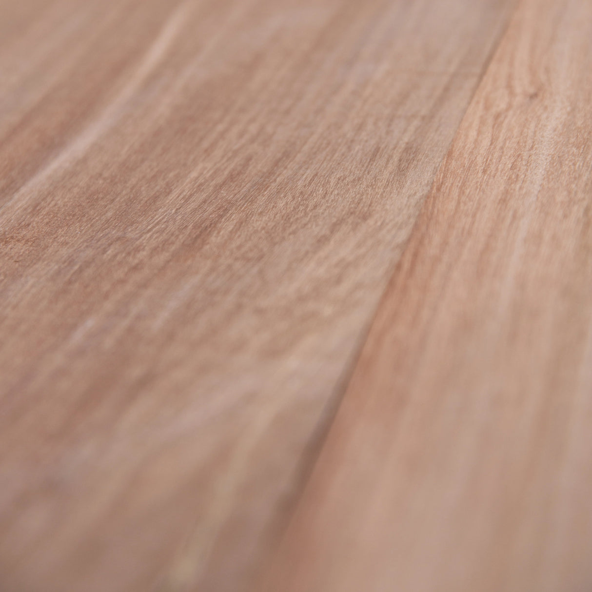 Brushbox 200 x 50mm – Standard Grade, Kiln Dried, Rough Sawn Joinery Timber