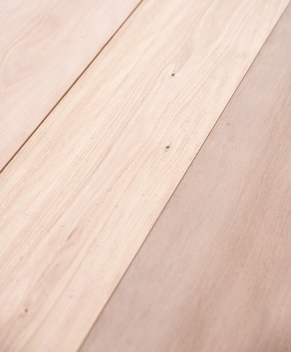 Brushbox 200 x 50mm – Standard Grade, Kiln Dried, Rough Sawn Joinery Timber