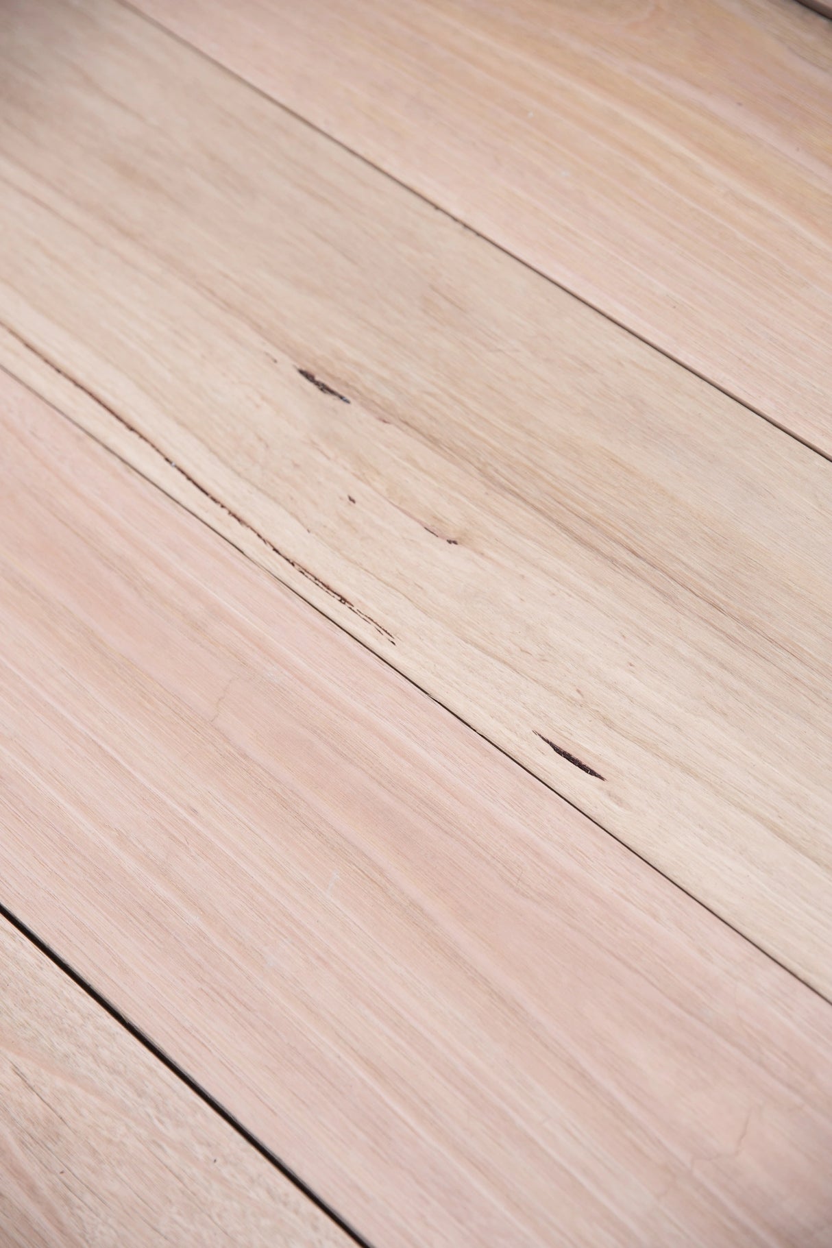 Australian Chestnut 200 x 38mm – Select Grade, Kiln Dried, Rough Sawn Joinery Timber