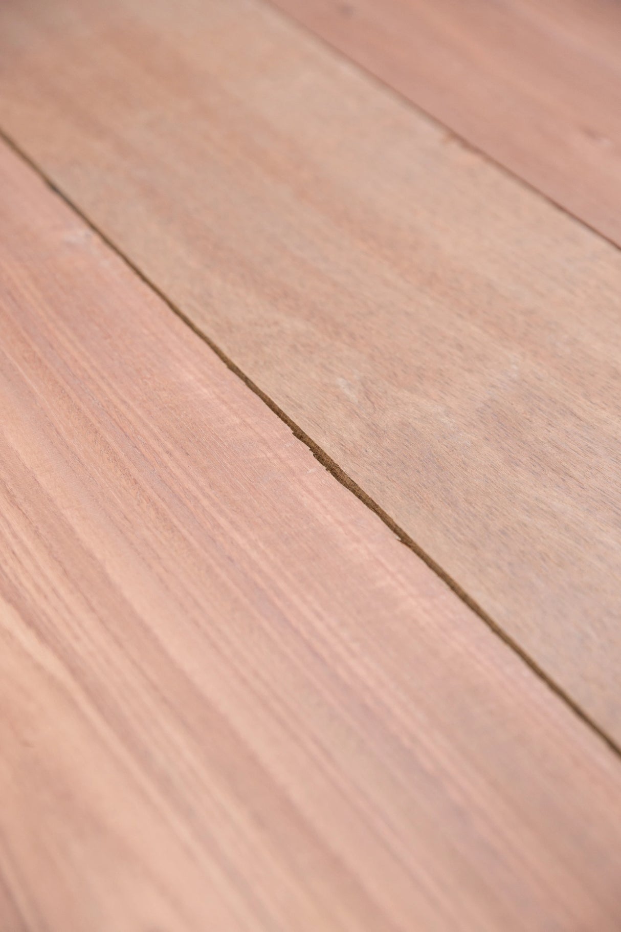 Jarrah 200 x 50mm – Select Grade, Kiln Dried, Rough Sawn Joinery Timber
