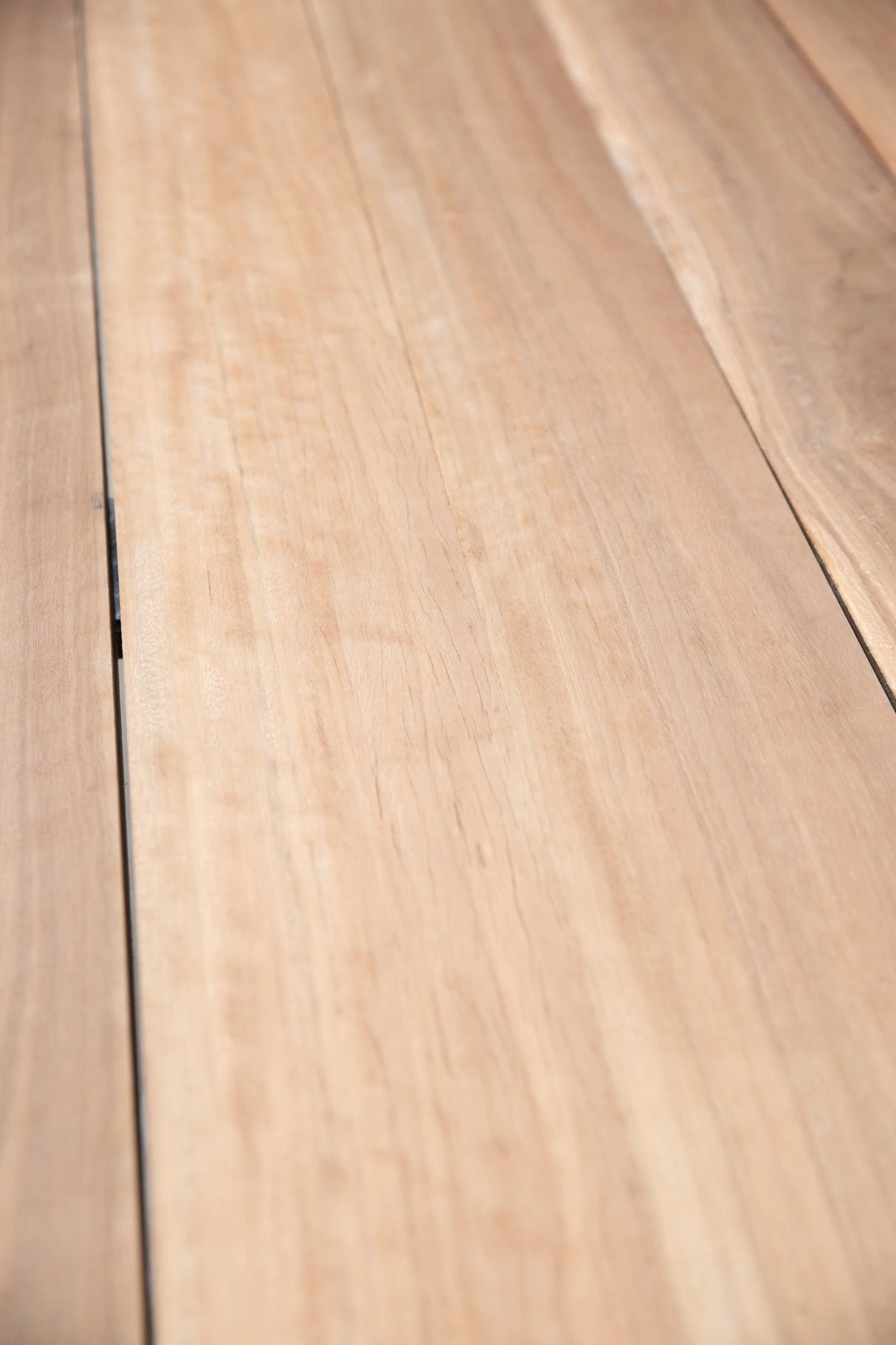 Queensland Spotted Gum 200 x 25mm – Standard Grade, Kiln Dried, Rough Sawn Joinery Timber