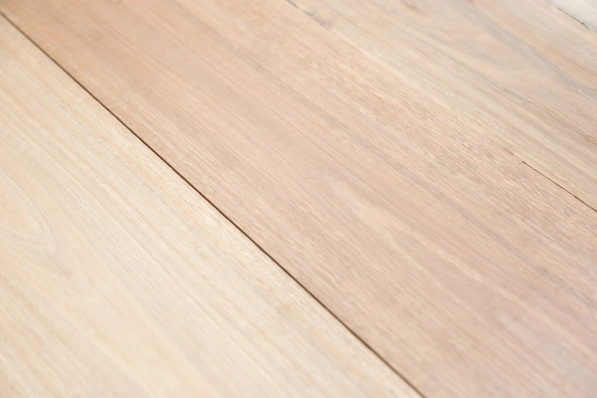 Spotted Gum 200 x 50mm – Select Grade, Kiln Dried, Rough Sawn Joinery Timber