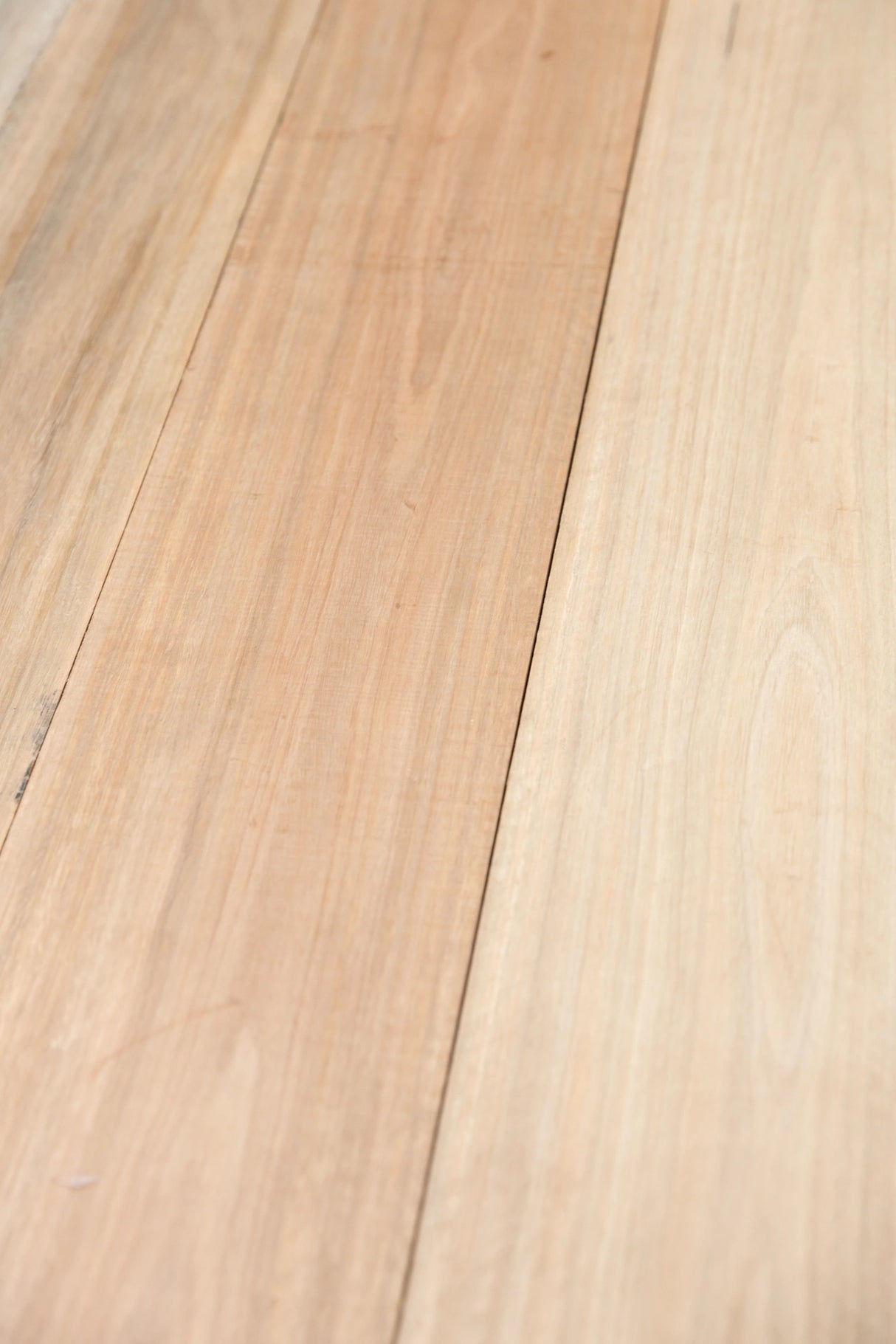 Spotted Gum 200 x 50mm – Select Grade, Kiln Dried, Rough Sawn Joinery Timber