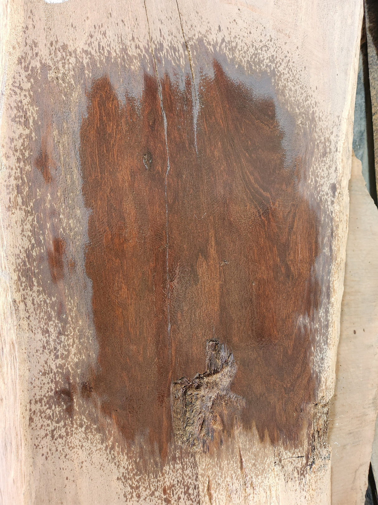 Western Australian Jarrah Slab J10