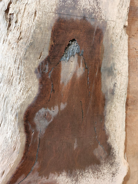 Western Australian Jarrah Slab J13