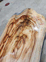 Camphor Laurel Slab 305