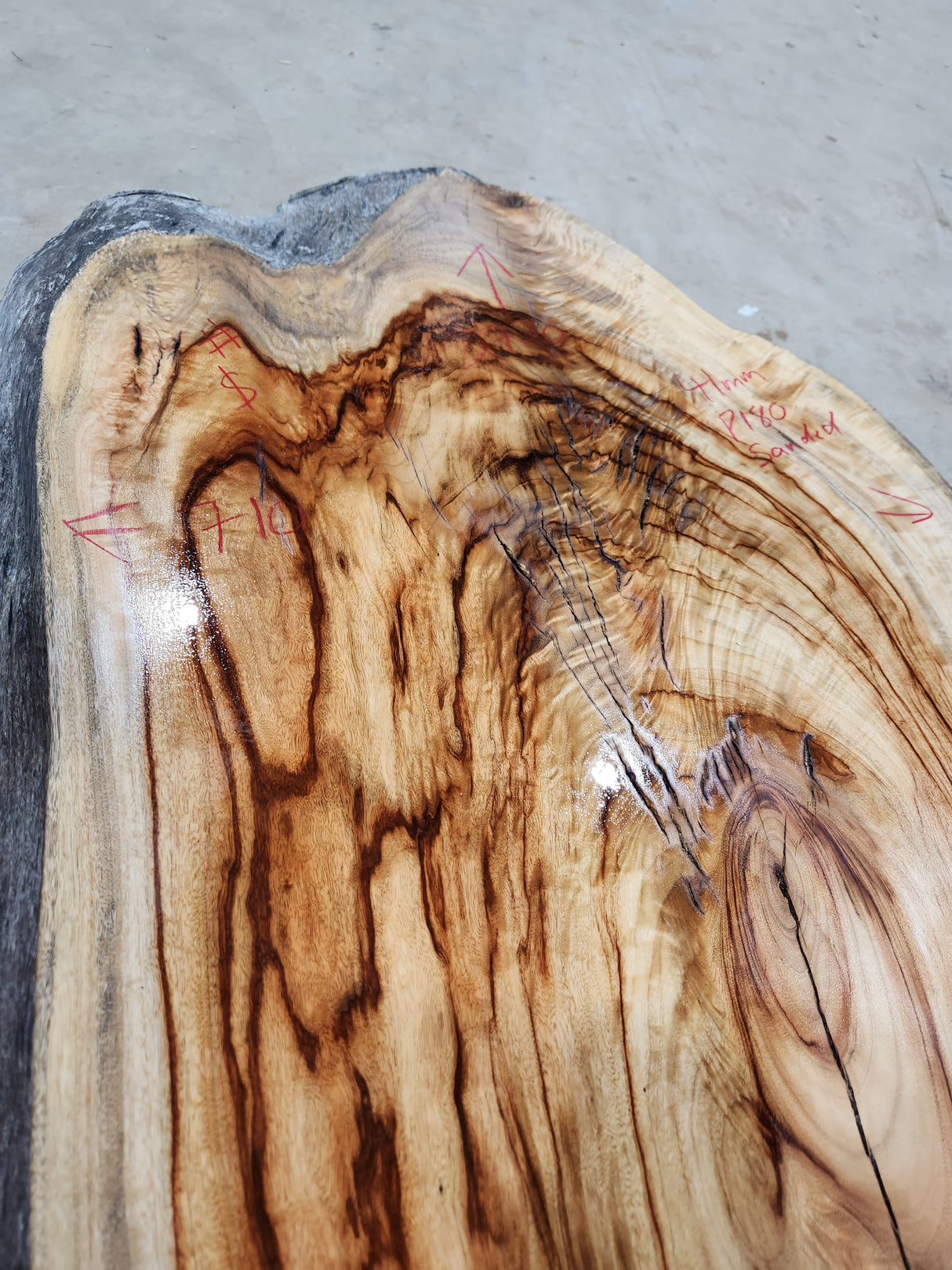 Camphor Laurel Slab 305