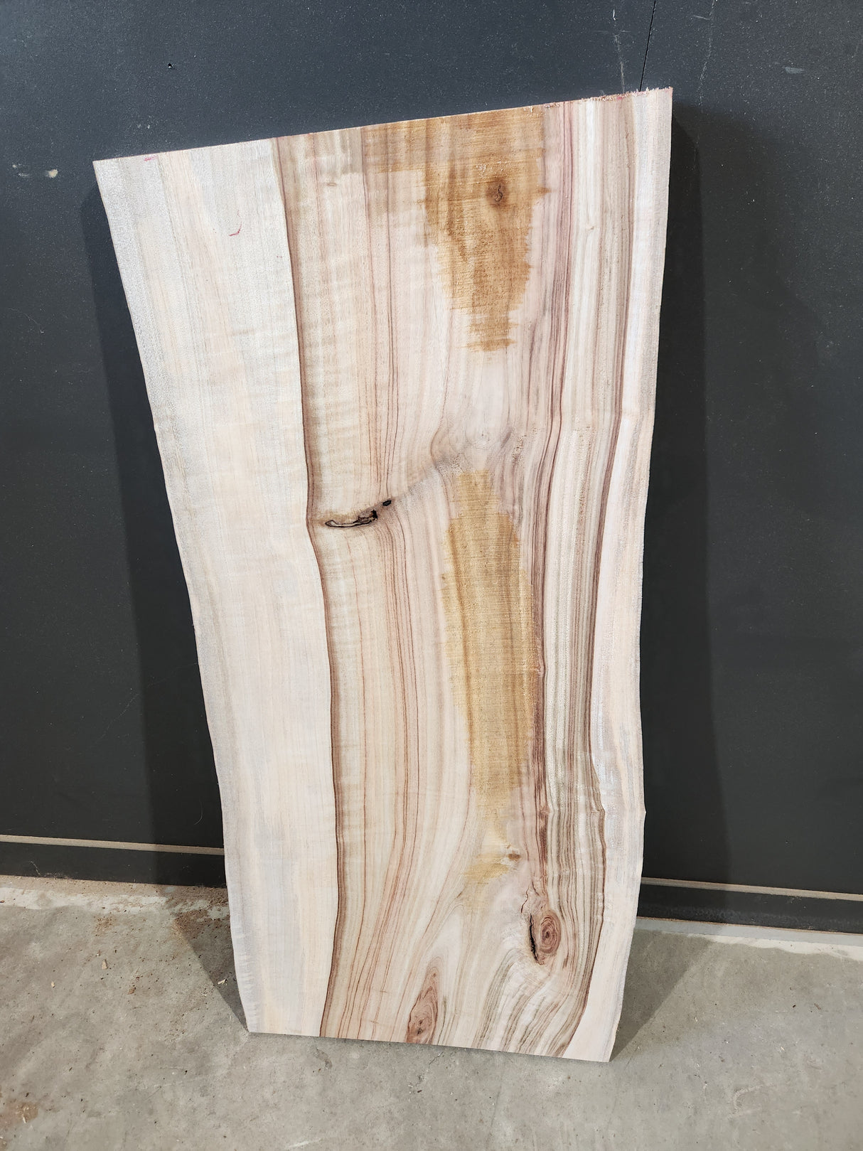 Camphor Laurel Slab 120