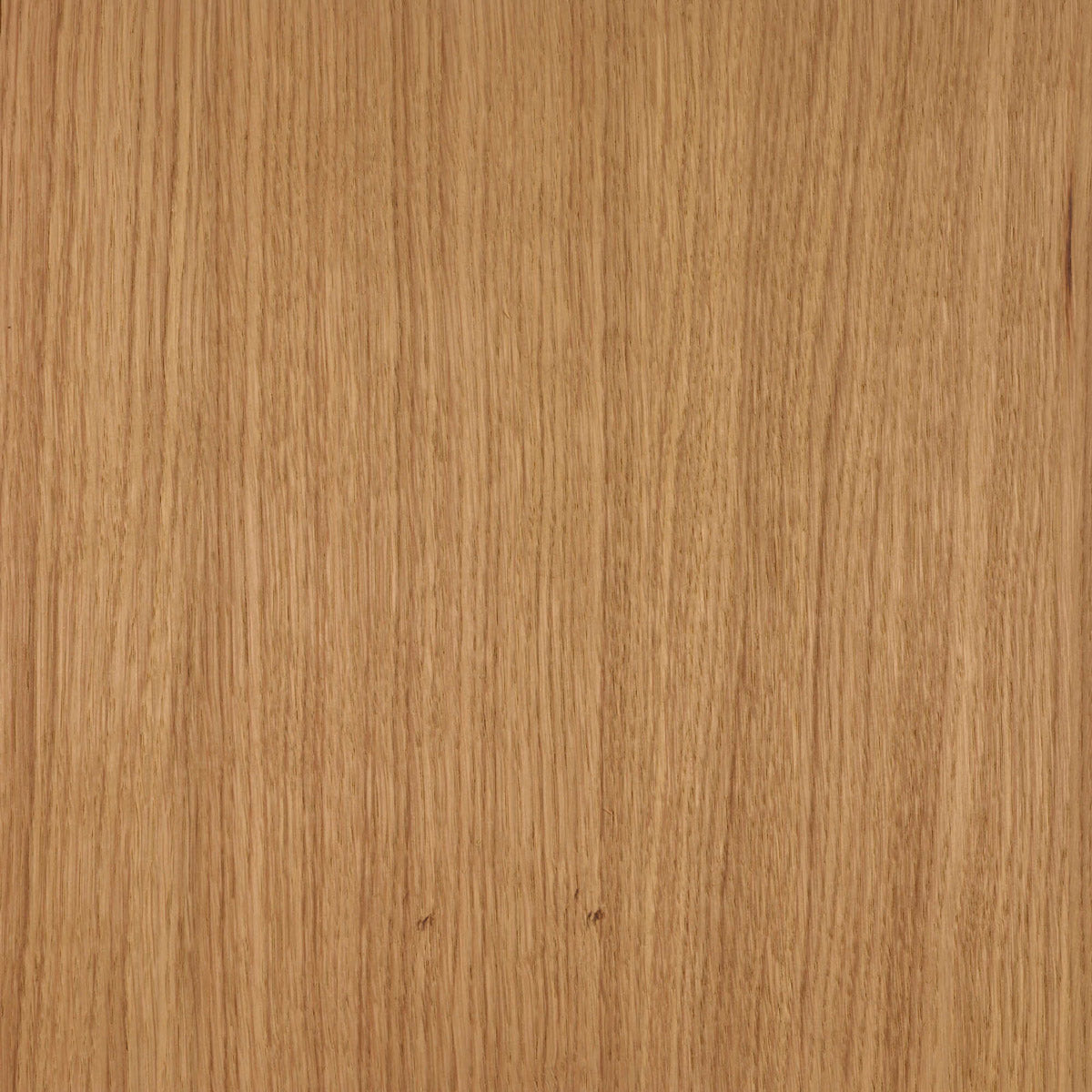 Rubio Monocoat Oil Plus 2C | 3.5L Set