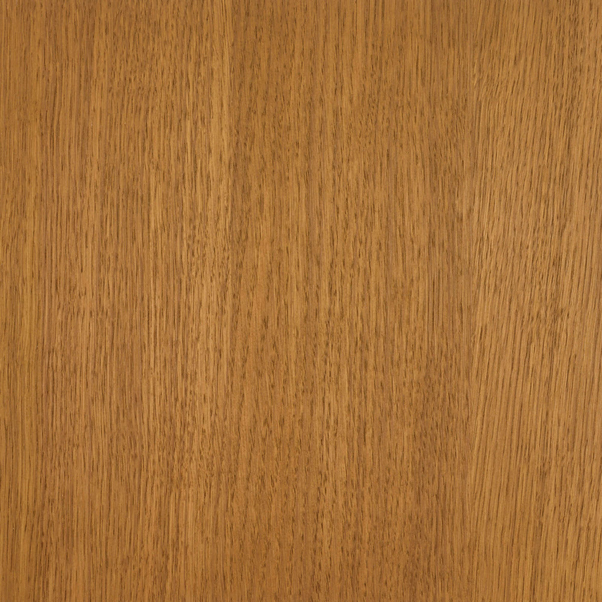 Rubio Monocoat Oil Plus 2C | 3.5L Set