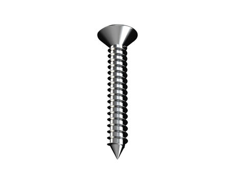 10G Self Tapping Screws CSK Zinc Bremick