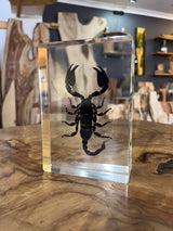 Resi Deep Cast 600ml Kit