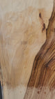 Camphor Laurel Slab 306