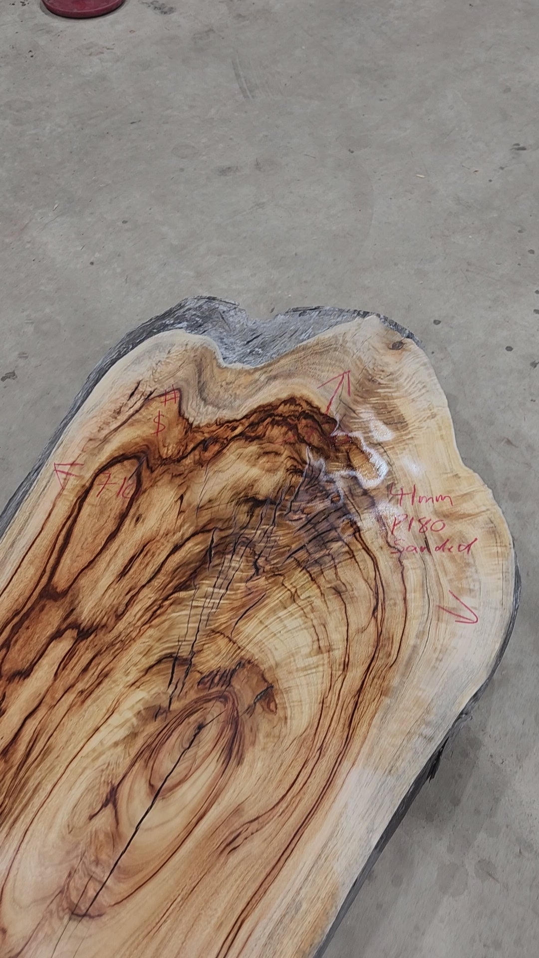 Camphor Laurel Slab 305