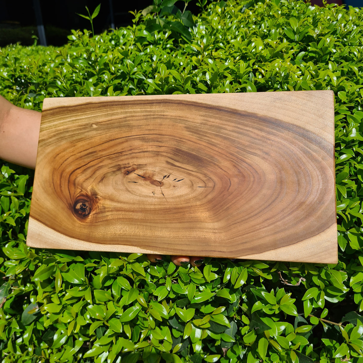 Camphor Laurel Serving Board 2