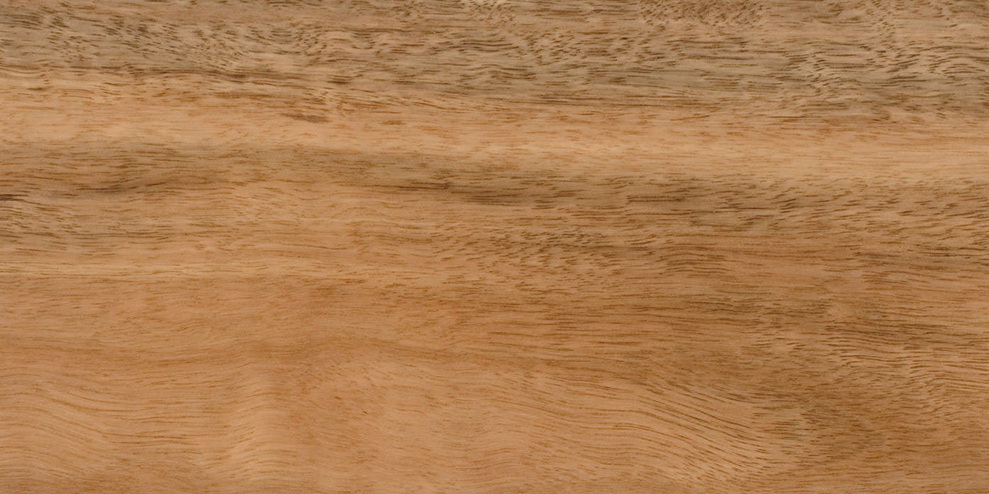 Spotted Gum 150x50mm KD RS