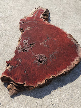 Jarrah Burl Slice 160