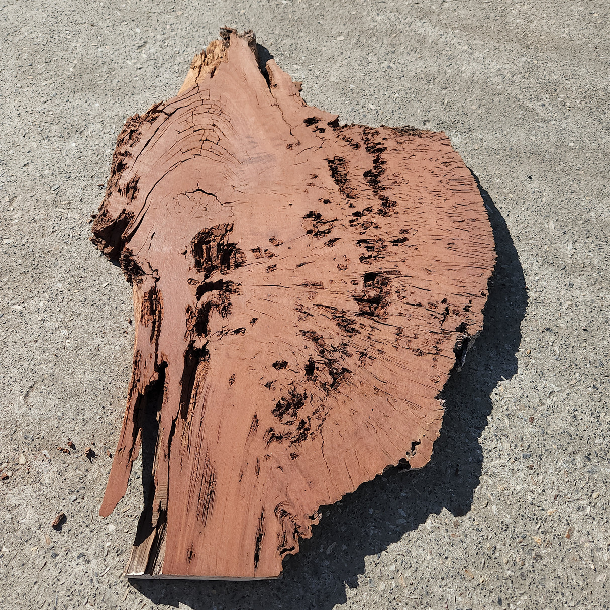 Jarrah Burl Slice 161