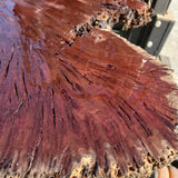 Jarrah Burl Slice 164