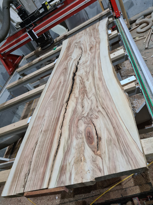 Service: Wood Wizz Timber Slab Levelling