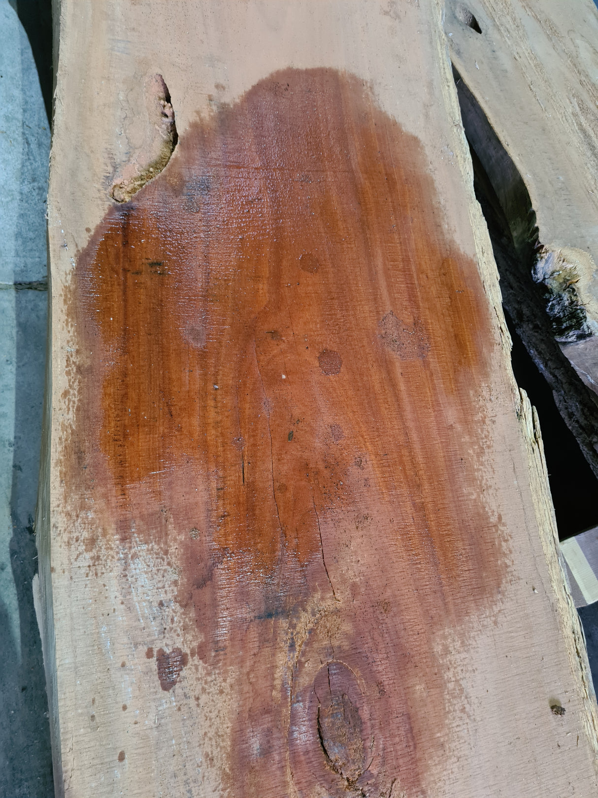 Red Ironbark Slab RI1